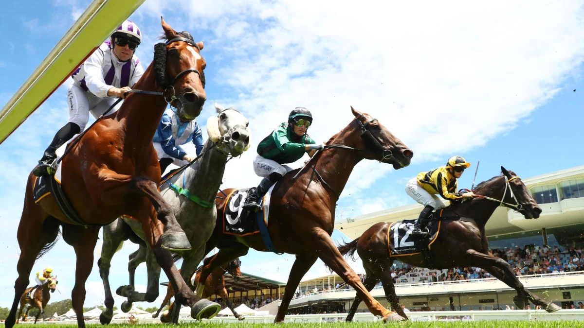 Thoroughbred horses racing past the grandstand at Wyong Race Club