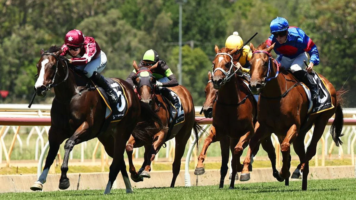 A close finish between thoroughbred runners at a Wyong Race Club meeting